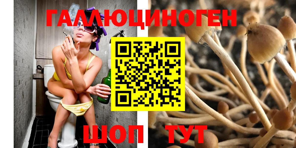 Галлюциногенные грибы Psilocybe  Галлюциногенные грибы мицелий  Губкин  Вход с VPN 